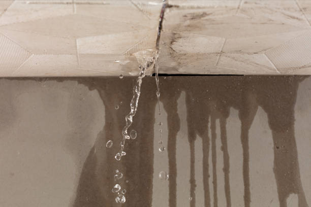 Professional Sewage Cleanup technician working in Trenton, TN